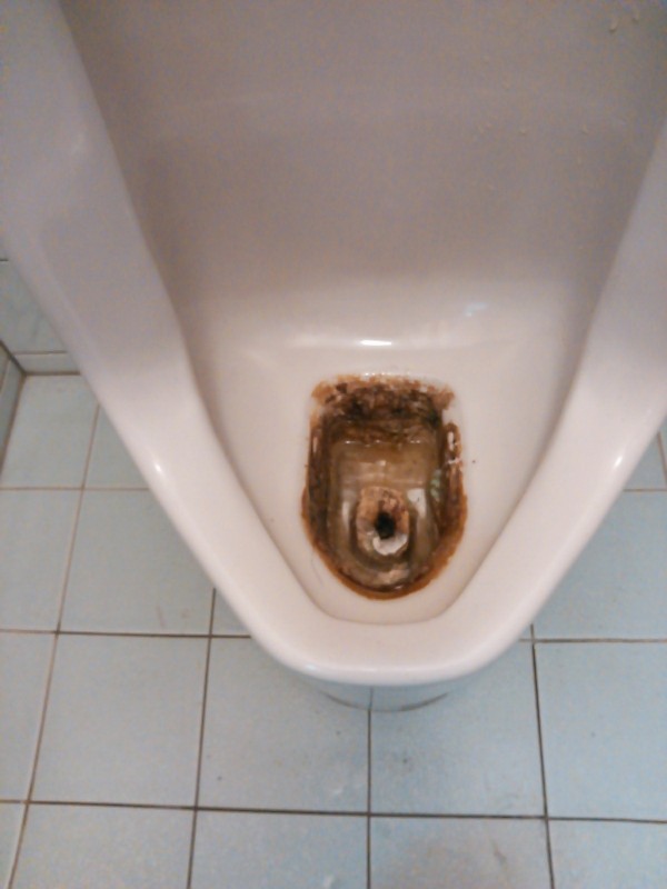 トイレのクリーニング 福岡県 太宰府 赤ちゃんに優しい♪ 株式会社お掃除でつくるやさしい未来